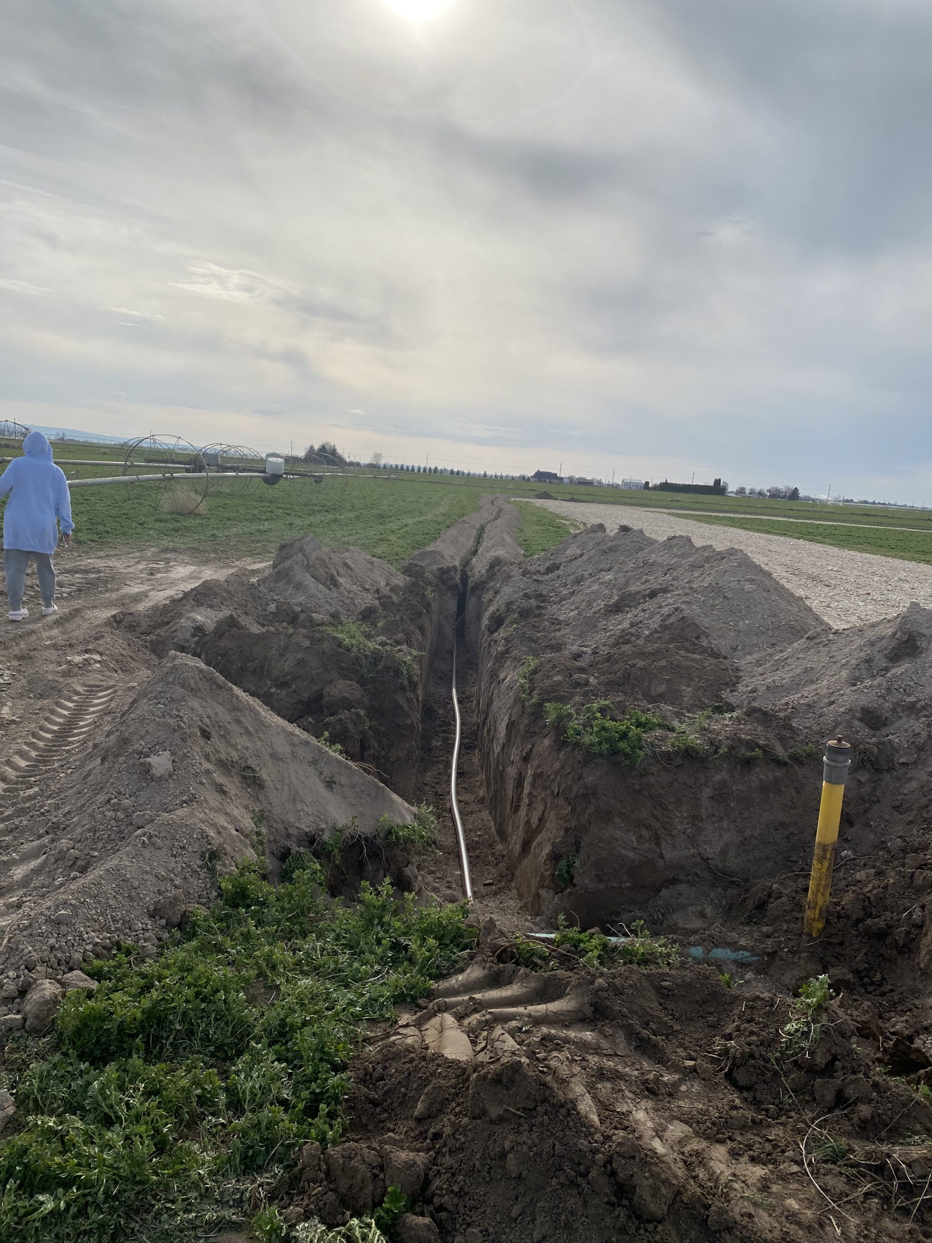 Trench Looking West